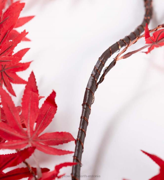 majatarbed 820L1546 sise-/välivalgustusega jaapani vahtralehtede vanik 70 tulega Plow & Hearth