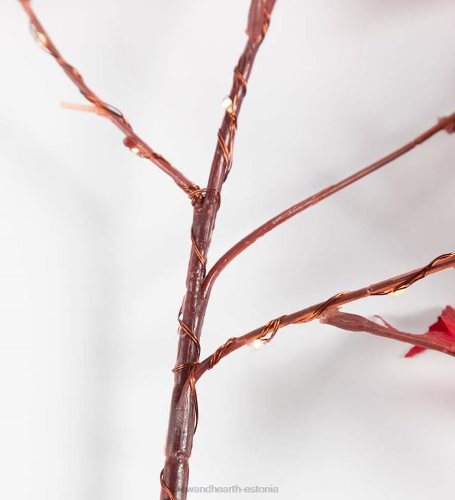 majatarbed 820L1573 sise-/välivalgustusega Jaapani vahtrapuu oksad, 2 tk Plow & Hearth