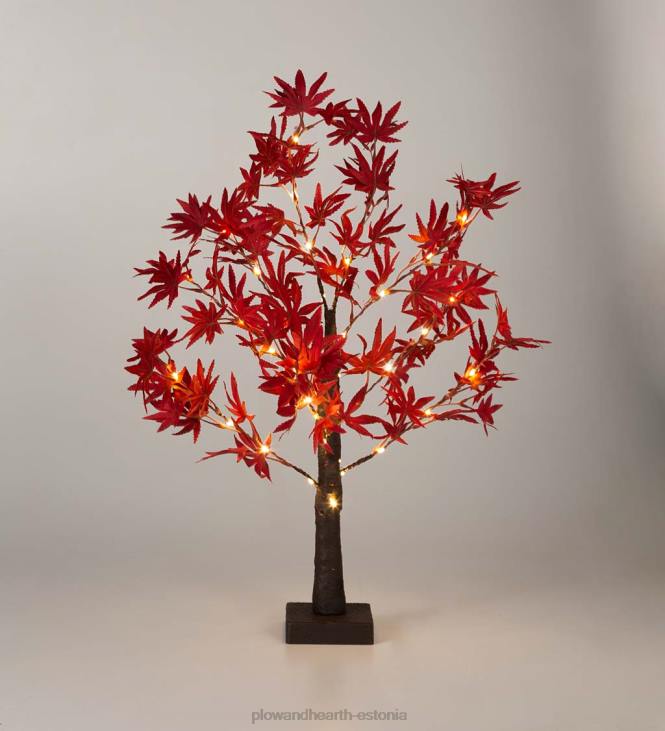 majatarbed 820L1575 sise-/välivalgustusega jaapani vaher 40 tulega Plow & Hearth