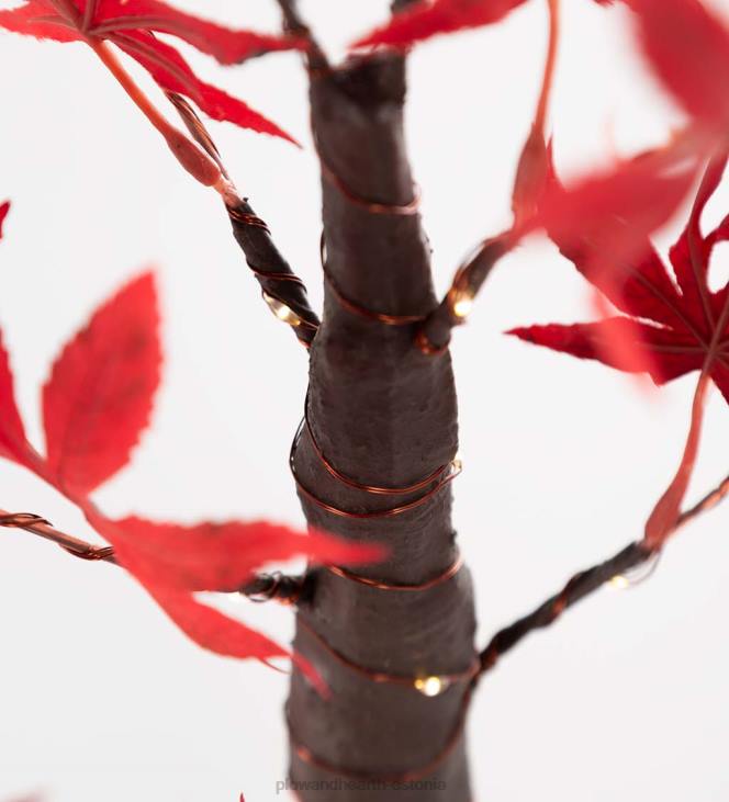 majatarbed 820L1575 sise-/välivalgustusega jaapani vaher 40 tulega Plow & Hearth