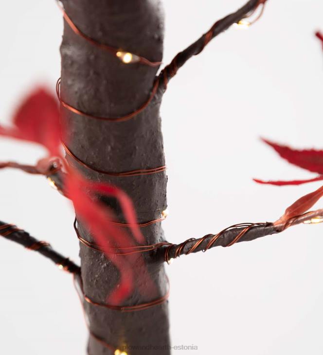 majatarbed 820L1575 sise-/välivalgustusega jaapani vaher 40 tulega Plow & Hearth