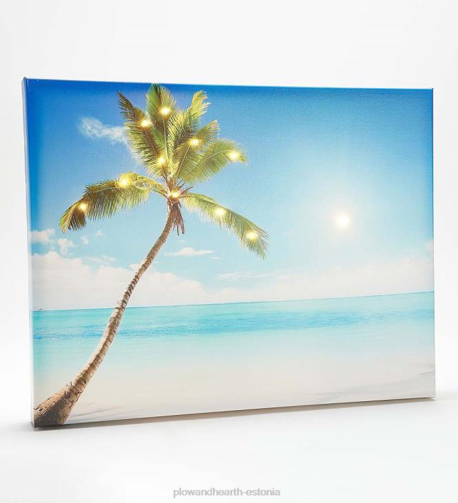 majatarbed 820L1578 mereäärne palmiga valgustatud välilõuend Plow & Hearth