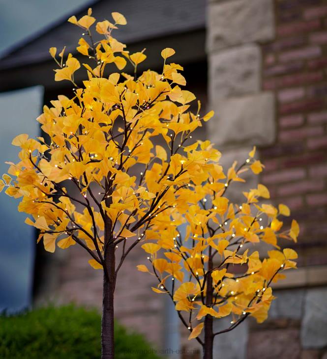 majatarbed 820L1580 sise-/väljas elektrivalgustusega kollased hõlmikpuud Plow & Hearth