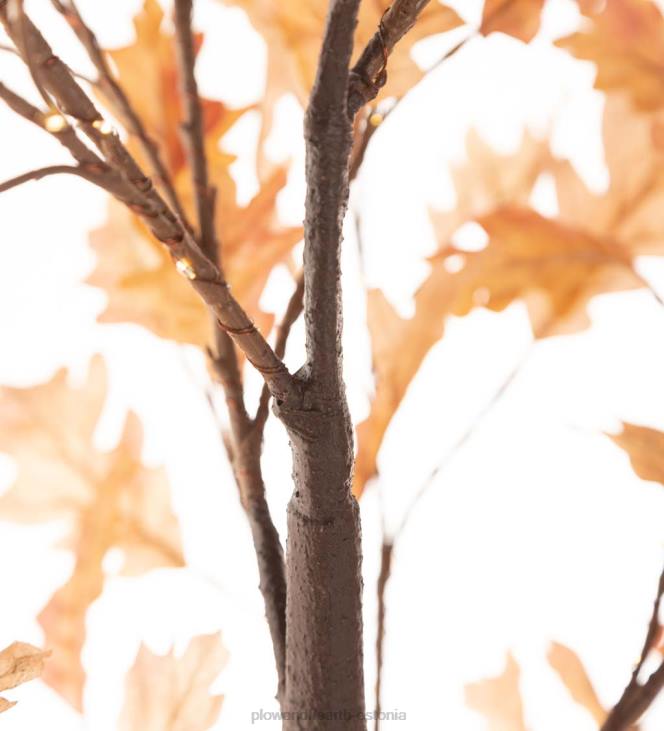 majatarbed 820L1586 sise-/väljas elektrivalgustusega roostetammed Plow & Hearth