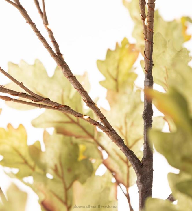 majatarbed 820L1587 sise-/väljas elektrivalgustusega samblatammed Plow & Hearth