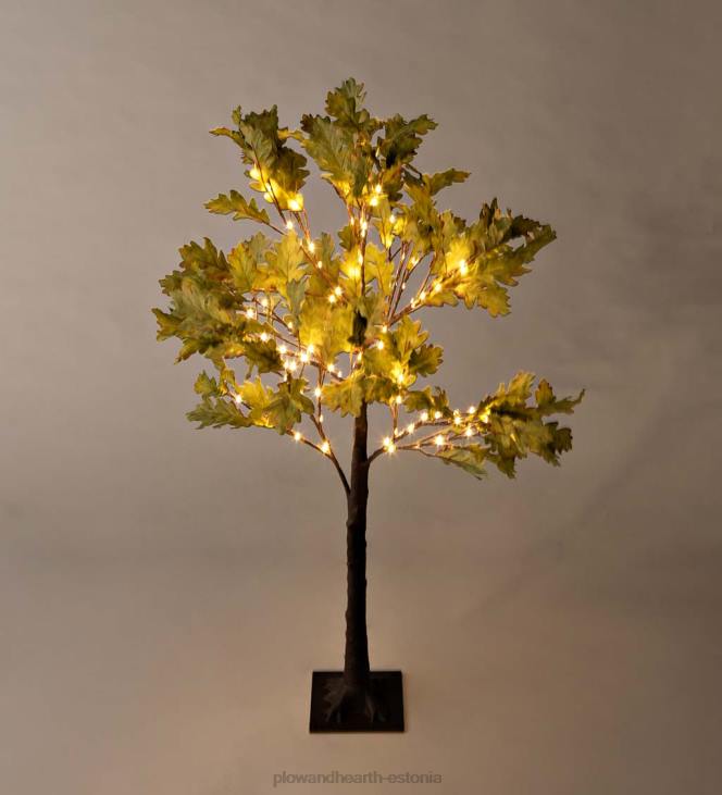 majatarbed 820L1587 sise-/väljas elektrivalgustusega samblatammed Plow & Hearth