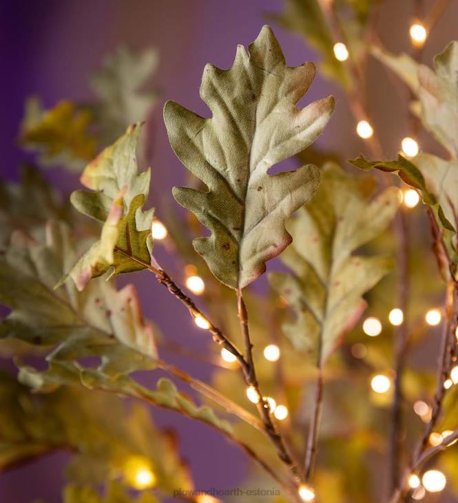 majatarbed 820L1587 sise-/väljas elektrivalgustusega samblatammed Plow & Hearth