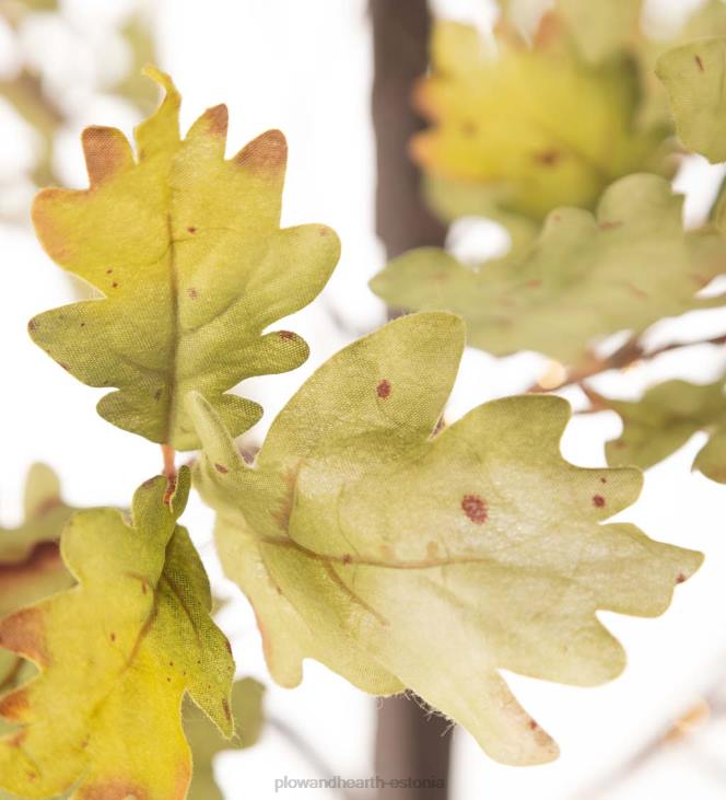 majatarbed 820L1587 sise-/väljas elektrivalgustusega samblatammed Plow & Hearth