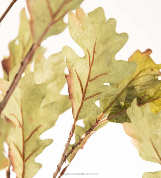 majatarbed 820L1587 sise-/väljas elektrivalgustusega samblatammed Plow & Hearth