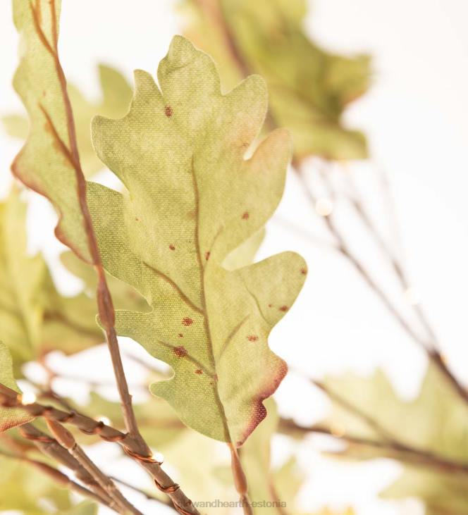 majatarbed 820L1587 sise-/väljas elektrivalgustusega samblatammed Plow & Hearth