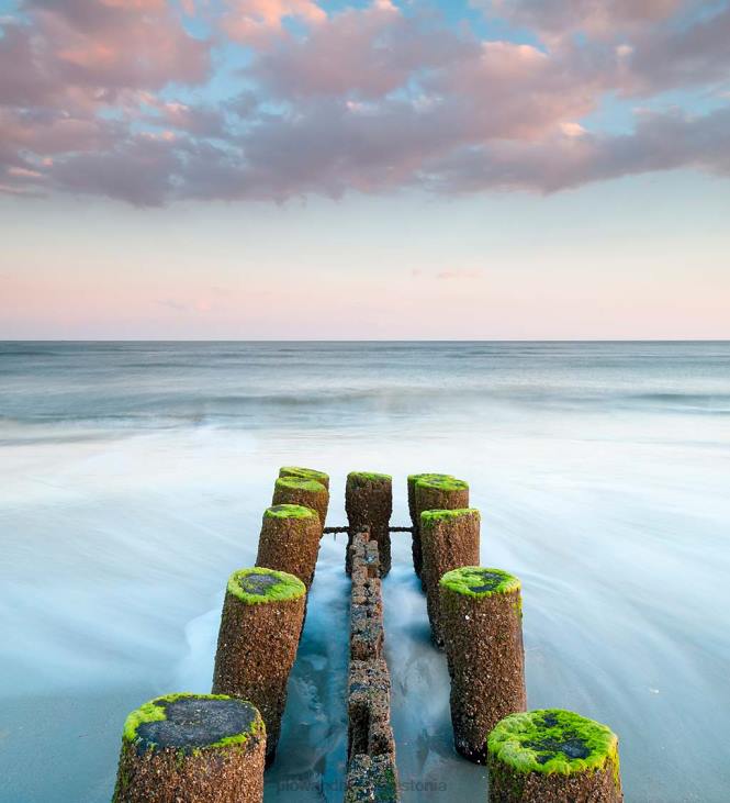 majatarbed 820L1650 ajatu mõõn väljas fotolõuendist seinakunst Plow & Hearth