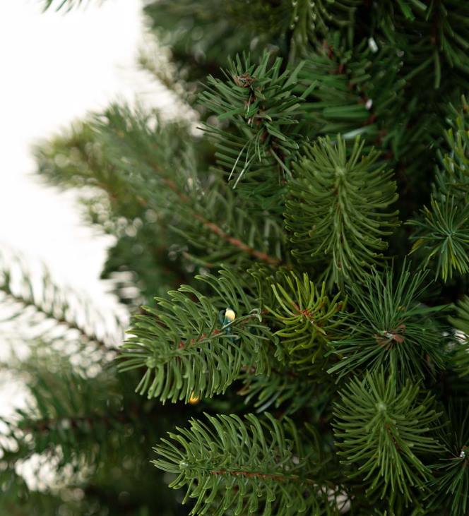 majatarbed 820L1671 toas/välis keswicki potimänd soojade valgete ledidega Plow & Hearth