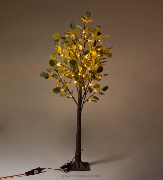 majatarbed 820L1679 sise-/väljas elektrivalgustusega eukalüptipuud Plow & Hearth