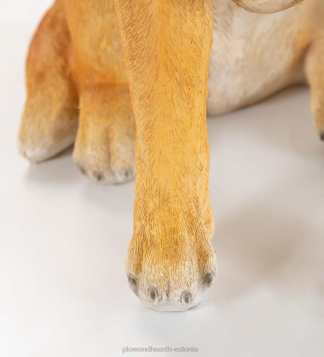 majatarbed 820L1693 kollane labradori kuju eemaldatava valgustatud pühadepärjaga Plow & Hearth