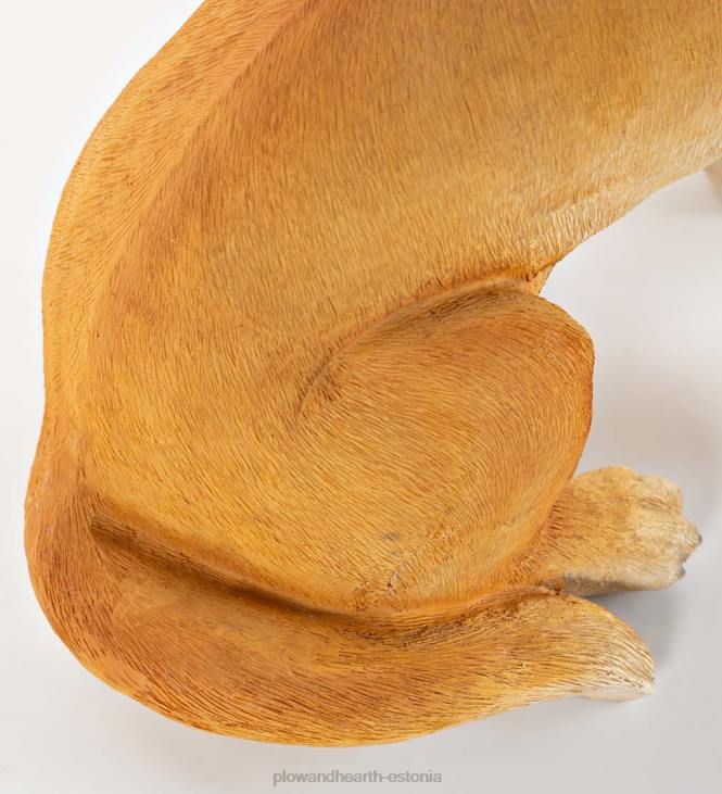 majatarbed 820L1693 kollane labradori kuju eemaldatava valgustatud pühadepärjaga Plow & Hearth