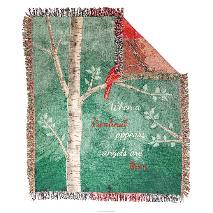 majatarbed 820L783 usas valmistatud kardinal sõnum puuvillase seinavaiba viskamine Plow & Hearth