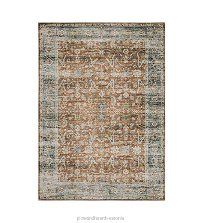 vaibad ja matid 820L1848 desmond summer splendor polüestervaip Plow & Hearth