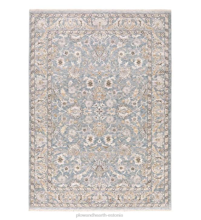 vaibad ja matid 820L1858 wakefield border polüestervaip Plow & Hearth